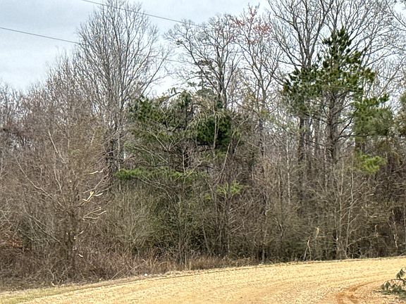 5th image of 5817 Jax Rd