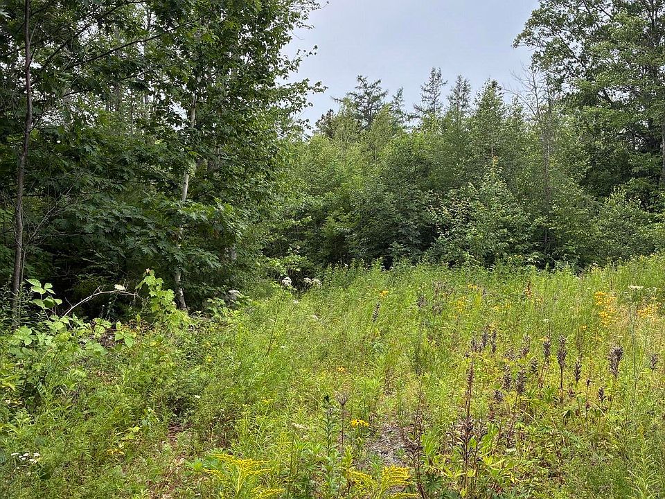 1st image of Lot 10 White Deer Circle