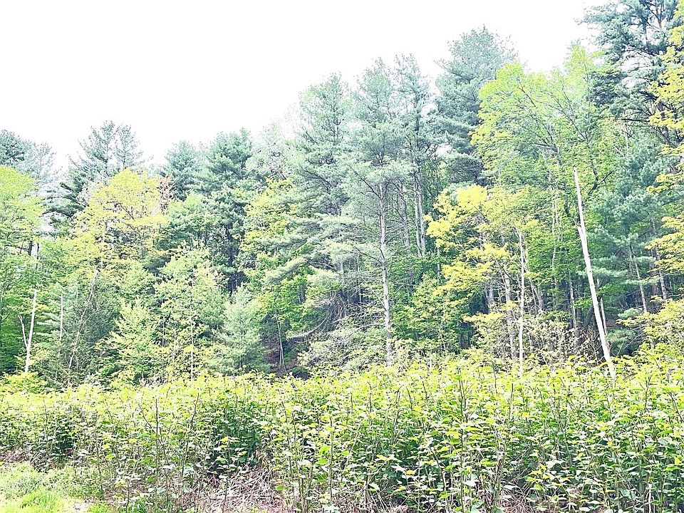 2nd image of 33 E Maine Rd