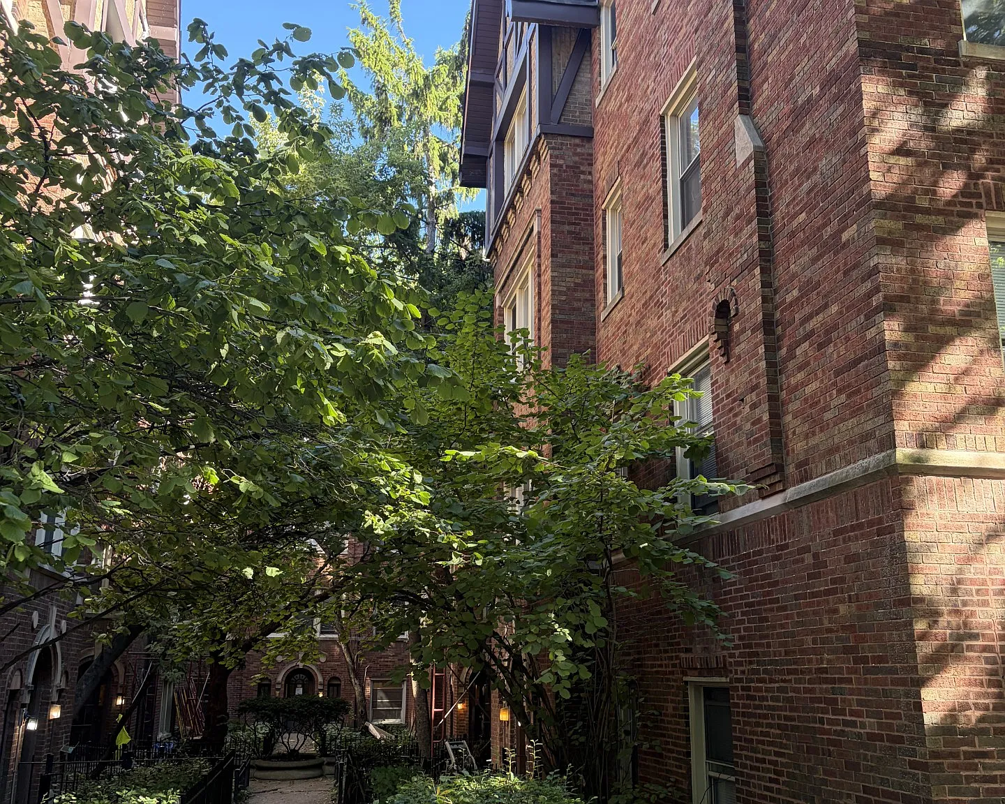 1 bed, $1,575 — Photo 1