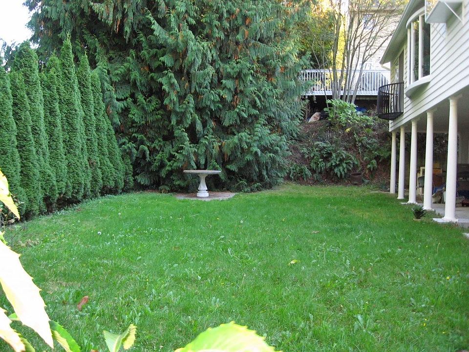 Large yard and garden for your use