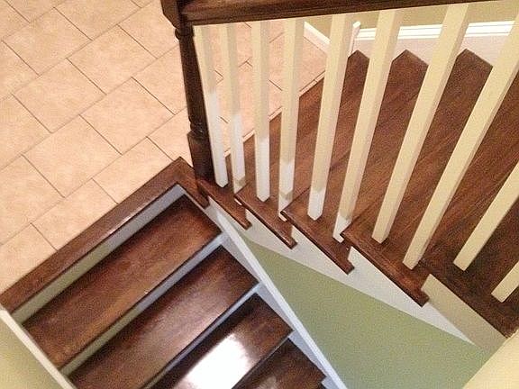 3rd image of 1519 Lexdale Dr