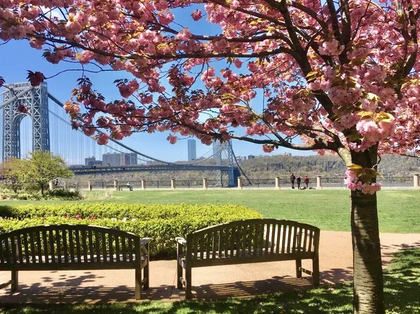 140 Cabrini Boulevard image 22 of 27