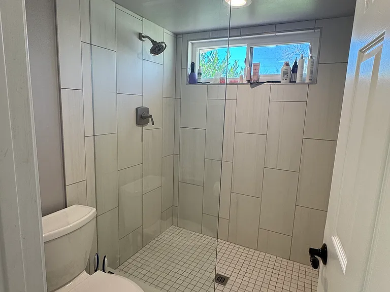 Primary Shower