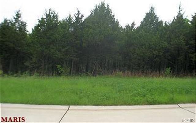 2nd image of 233 Scarlet Oak Loop