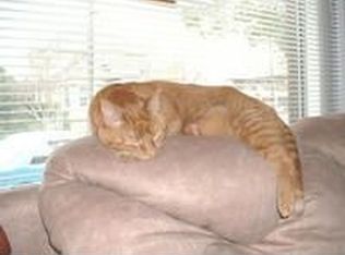 1013B W 3rd St, Antioch, CA 94509