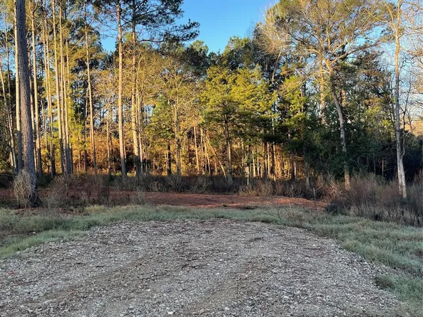 11345 Annie Creek Dr, Willis, TX 77378