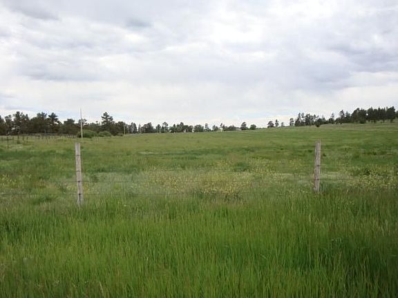 Pasture