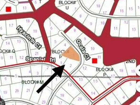 207 OCALA Court, Georgetown, FL 32139