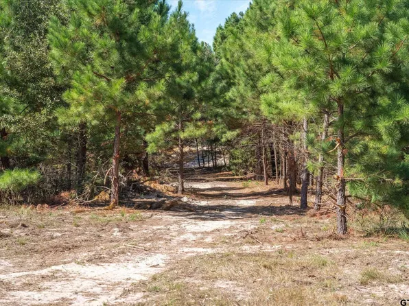 TRACT 2 Private Road 8079, Ben Wheeler, TX 75754