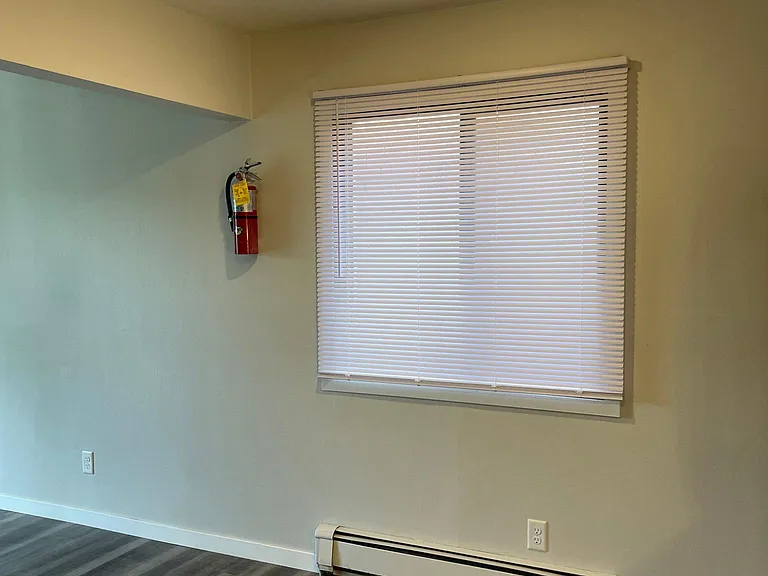 420 S Van Buren St #4 — Photo 5