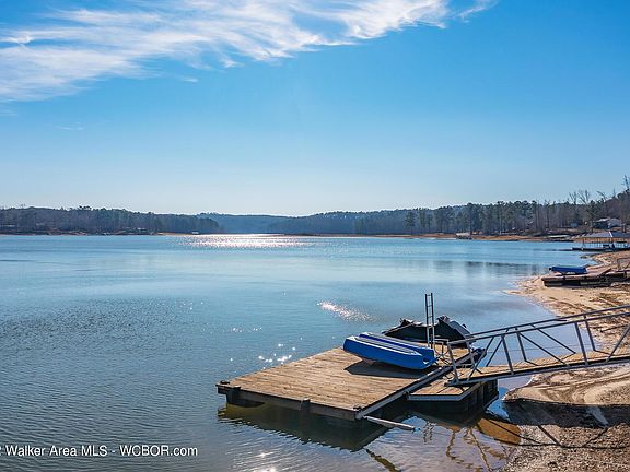 Image 3: Swim Platform