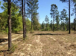 441 NE Mango Ave, Lee, FL 32059