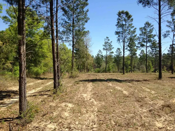 441 NE Mango Ave, Lee, FL 32059