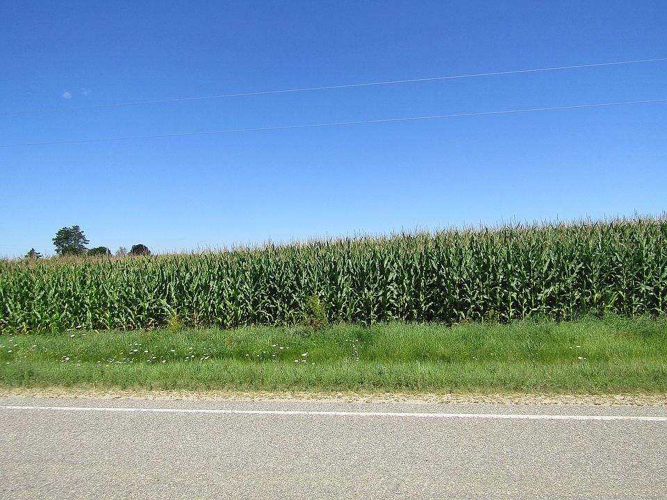 2nd image of Highway S #Section