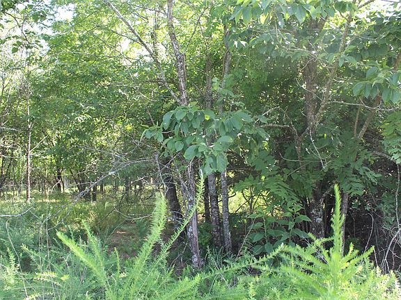 5th image of 019-02950-000 Horseshoe Bend Rd