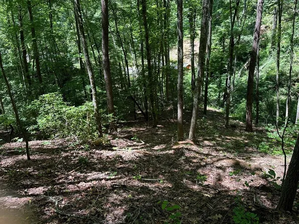 15 Bailey Ave, Bryson City, NC 28713