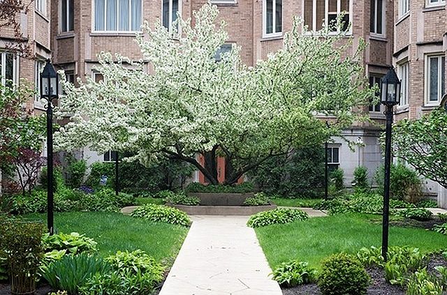 1st image of 4217 N Paulina St APT 2E