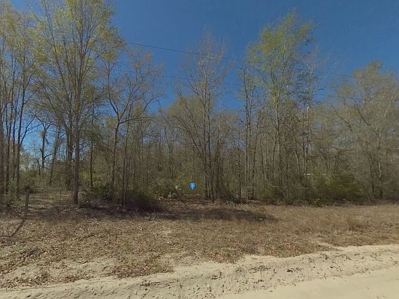 2nd image of 200 Gobblers Run