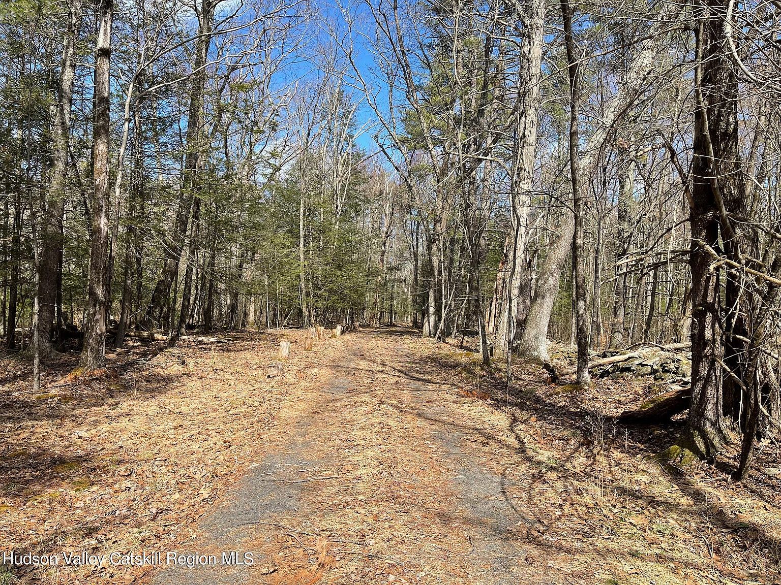 Tbd Anderson Road, Olivebridge, NY 12461 Zillow