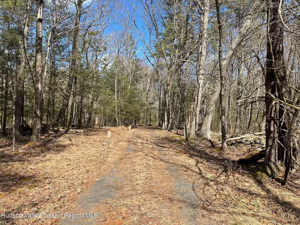 Tbd Anderson Road, Olive, NY 12461