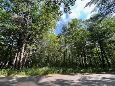 On Zeman Rd, Eagle River, WI, 54521