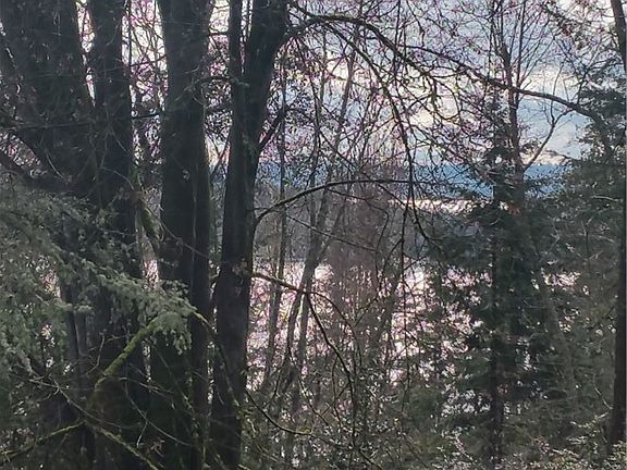 4th image of 11314 Tillicum Dr