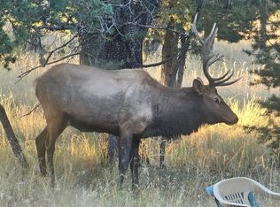Mesita Rd, Alto, NM 88312