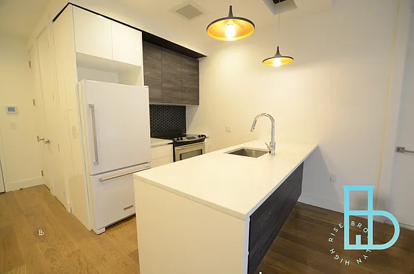 Rented by Brooklyn High Rise LLC | media 4