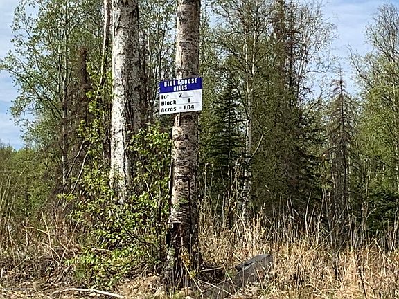 3rd image of L2 B Blue Grouse Hls #1