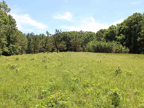 3rd image of 0 Lake Hardeman Rd