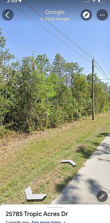 1st image of 105 Pg Lot 81-32