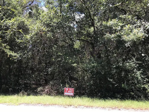 12641 W Amur Maple Pl, Crystal River, FL 34428