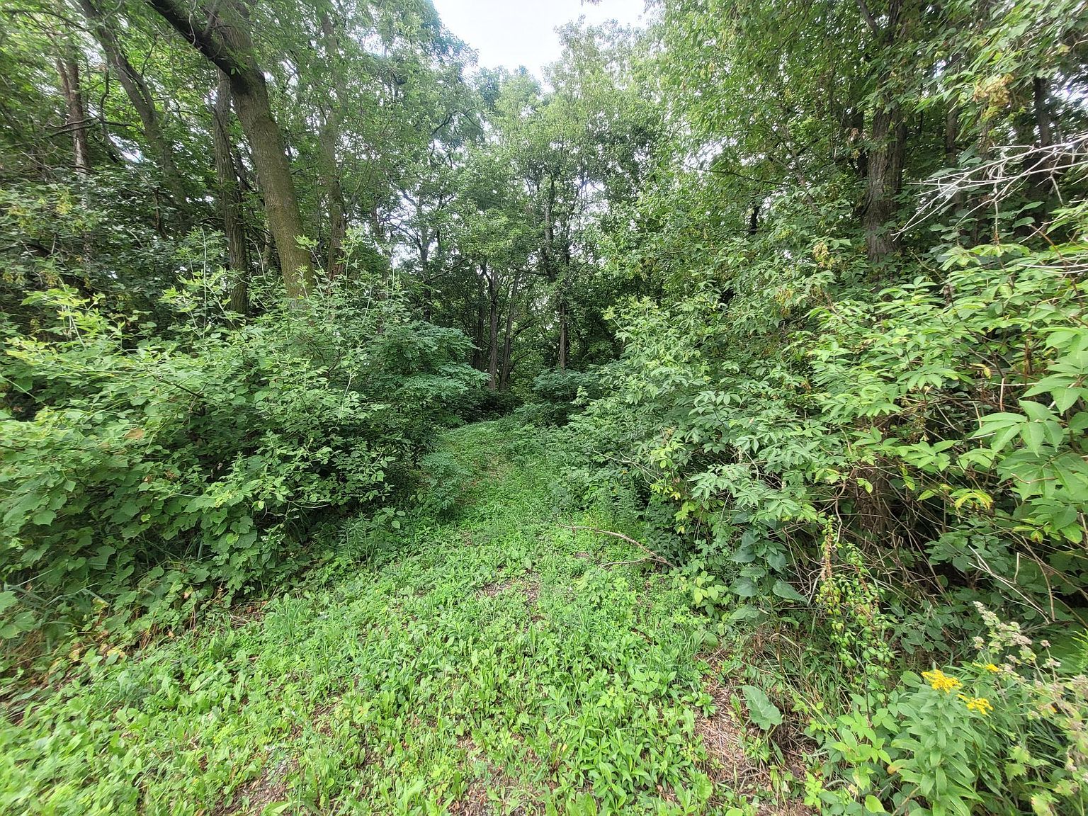 120th Ave, Dresser, WI 54009 Zillow