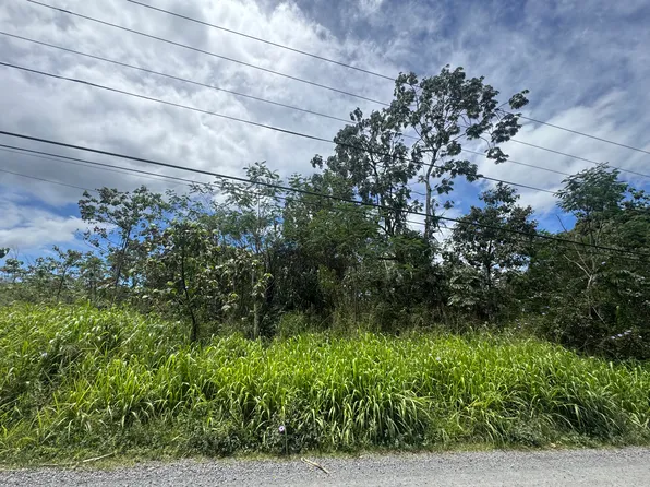 13th Ave Lot 530, Keaau, HI 96749