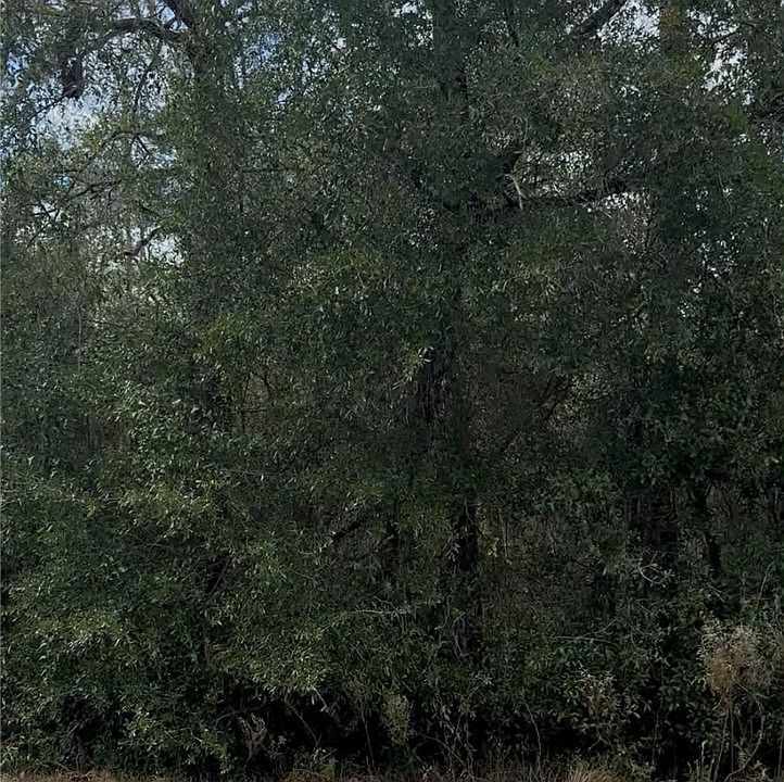 1st image of (Undisclosed Address)