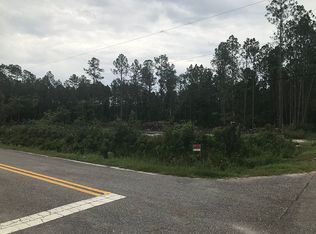 10100 Crotty Ave, Hastings, FL 32145