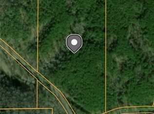 1504 Pinhook Rd, Ranger, GA 30734