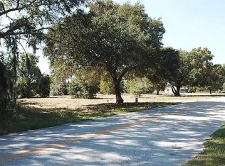 Keene Rd LOT 1, Umatilla, FL 32784