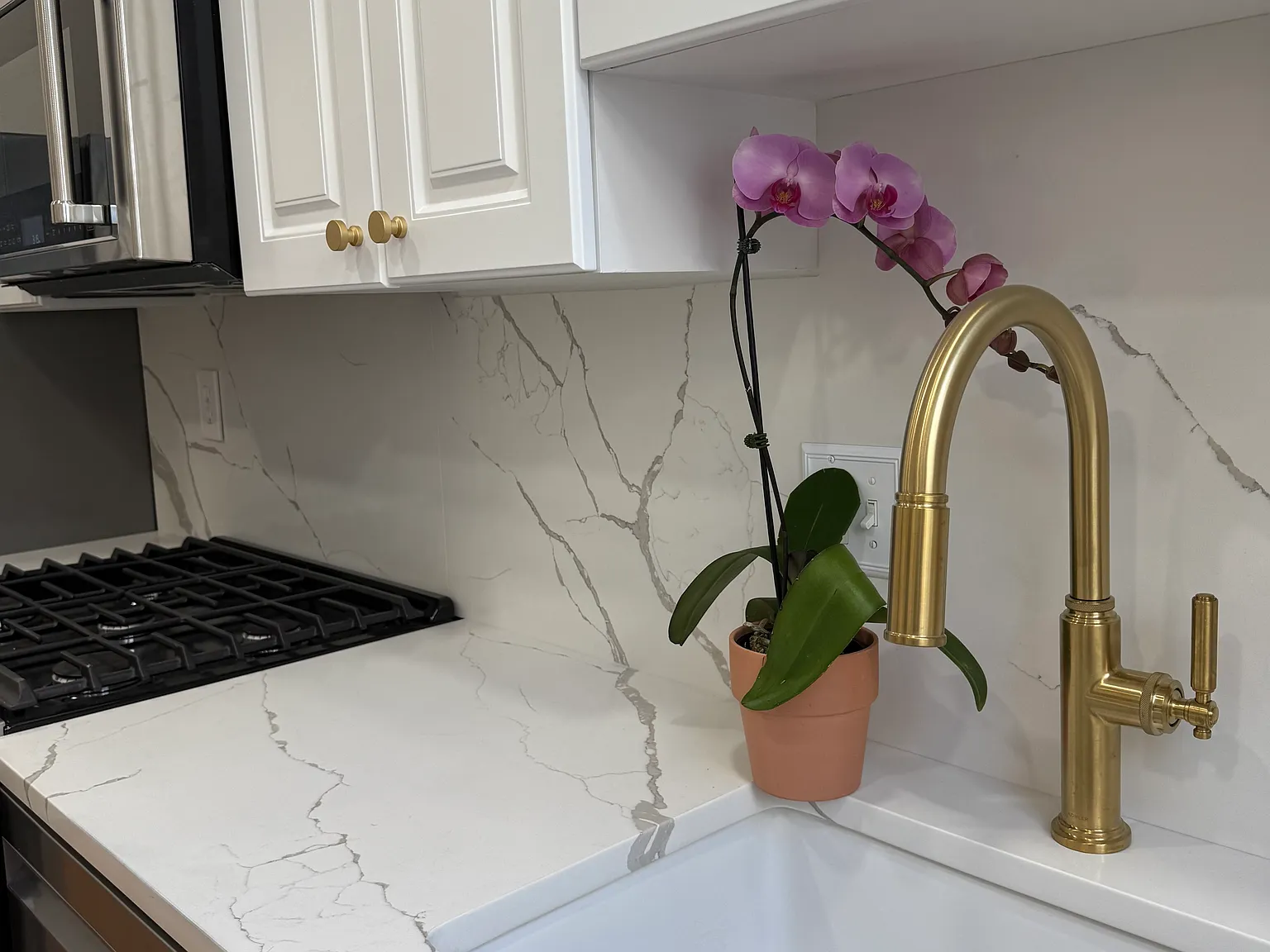 1 bed, 800 sqft, $4,000 — Photo 4