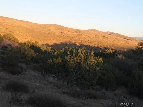 0 Vac Windrush Road Vic Tatina Ln #8, Santa Clarita, CA 91390