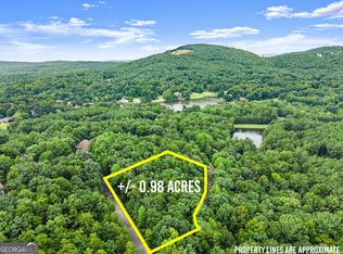 349 Golden Ln, Clarkesville, GA 30523