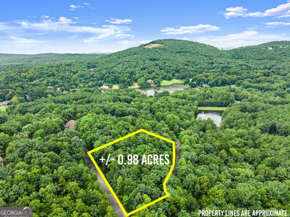 349 Golden Ln, Clarkesville, GA 30523