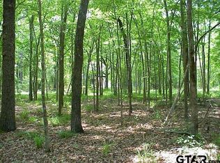 15832 McElroy Rd, Whitehouse, TX 75791