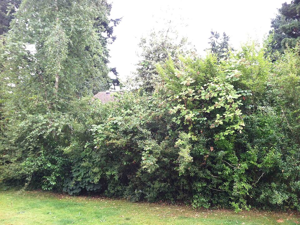 2nd image of 10630 17th Ave NE