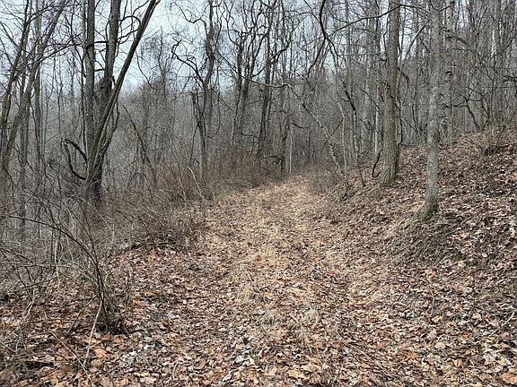 2nd image of N Route 219