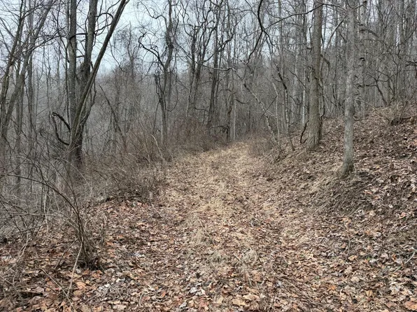 N Route 219, Renick, WV 24966