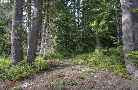2nd image of 88393 E Mossytree Ln