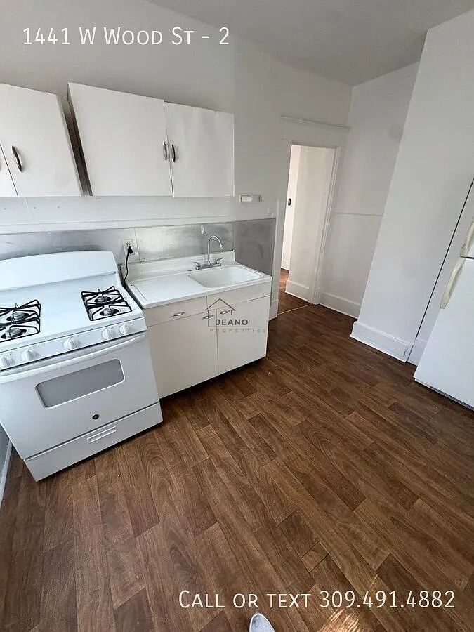 1441 W Wood unit 2 — Photo 4