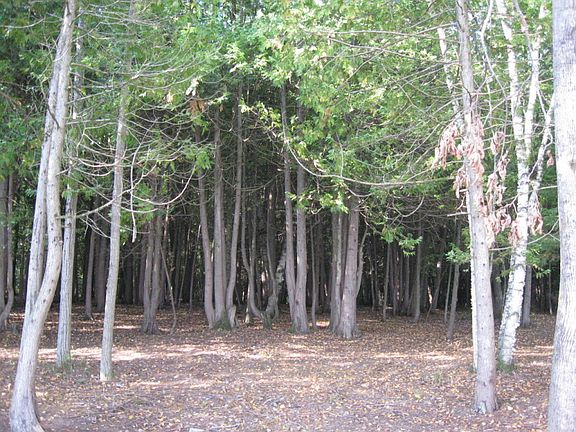 3rd image of 14400 Long Lake Highway 3.2 Acres